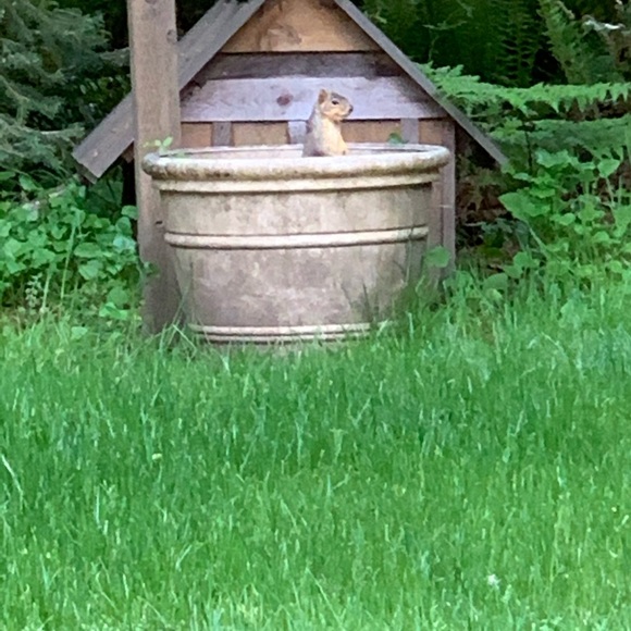 Sharing Oregon 🧡 - Picture 11 of 16